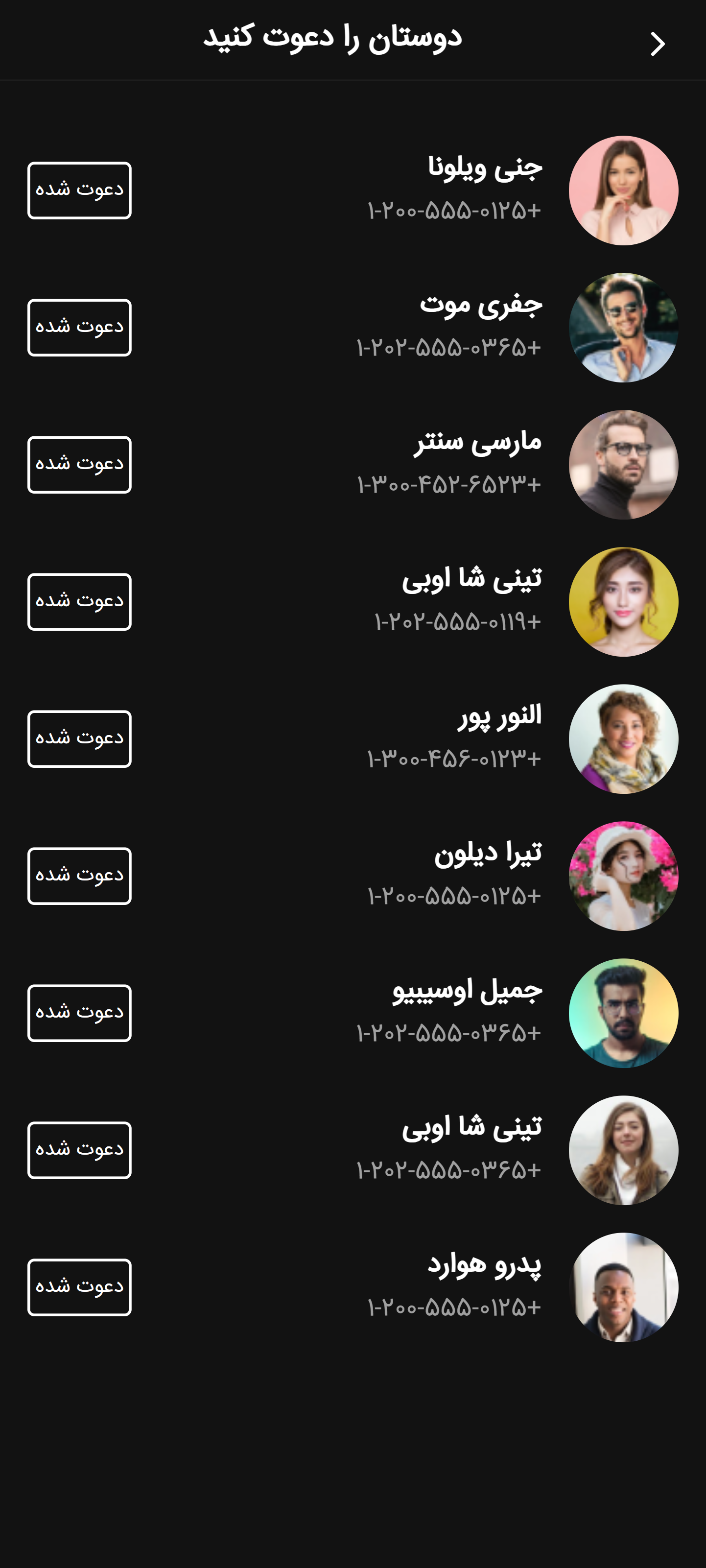 صفحه-تصویر
